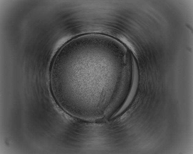 X0000093211088200710031415