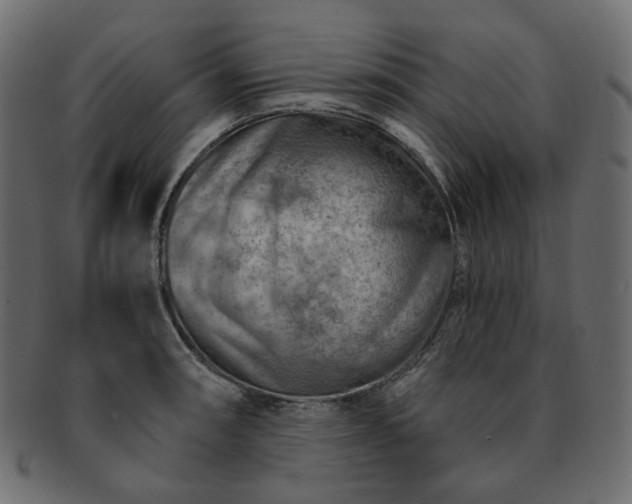 X0000093211090200710031415