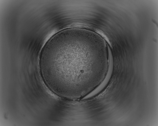 X0000093211091200710031415