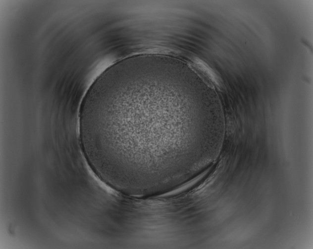 X0000093211095200710031415