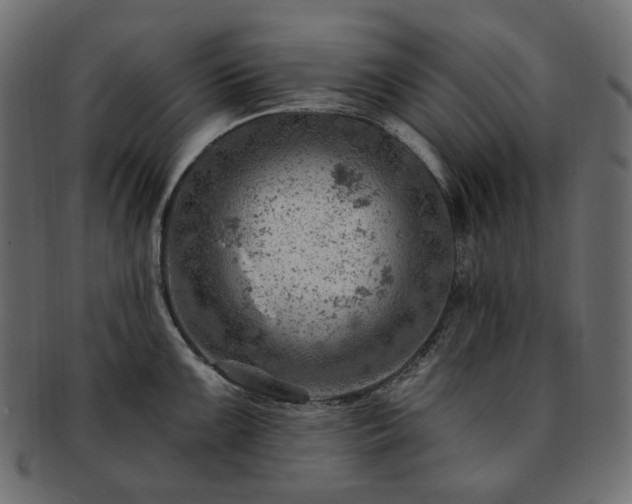 X0000093211099200710031415