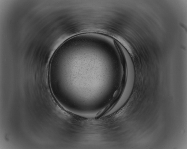 X0000093211102200710031415