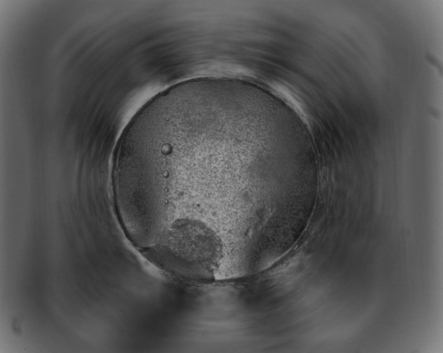 X0000093211103200710031415