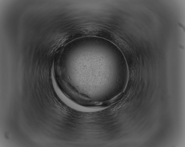 X0000093211108200710031415