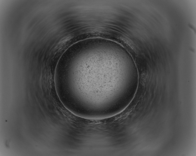 X0000093211111200710031415