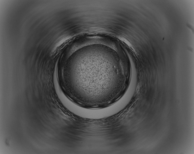 X0000093211112200710031415