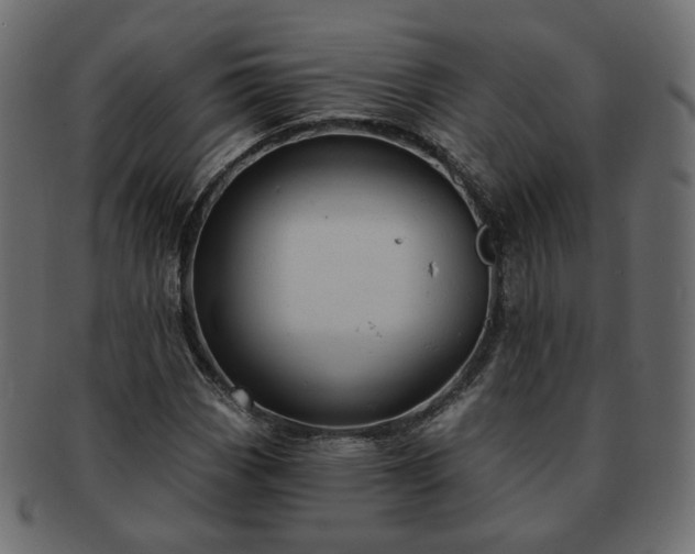 X0000093211113200710031415