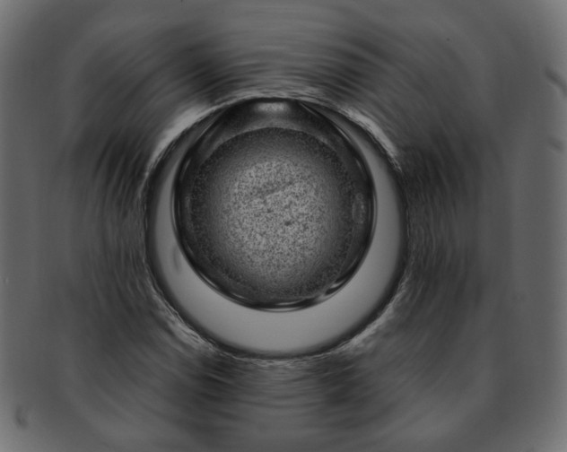 X0000093211114200710031415