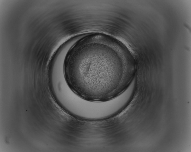 X0000093211118200710031415