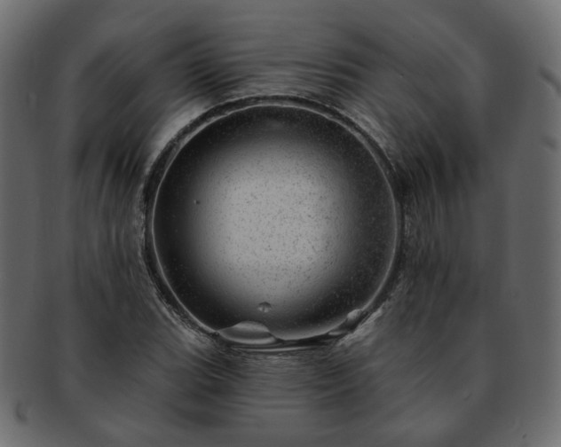 X0000093211119200710031415