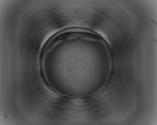 X0000093211120200710031415