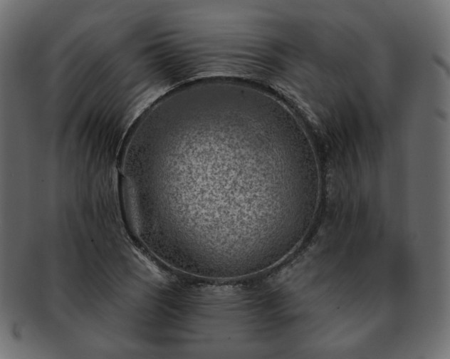 X0000093211121200710031415