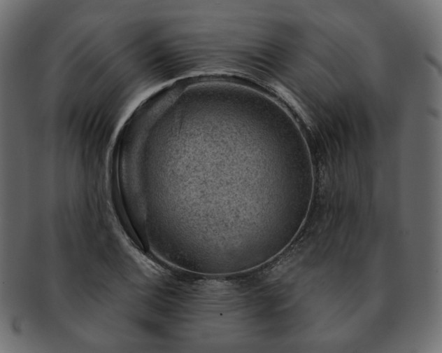 X0000093211124200710031415