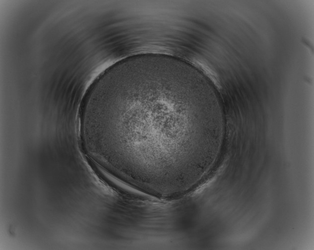 X0000093211125200710031415