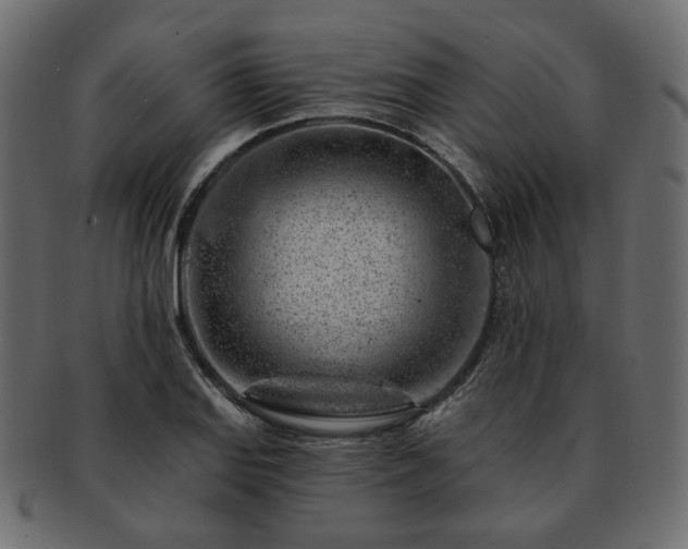 X0000093211127200710031415