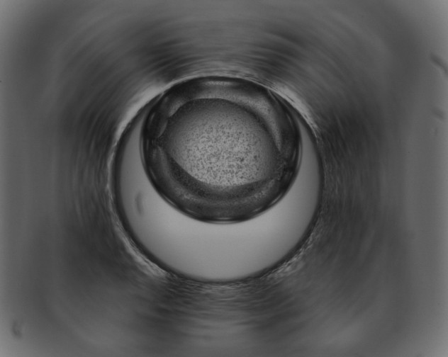 X0000093211128200710031415