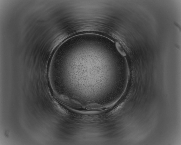 X0000093211129200710031415