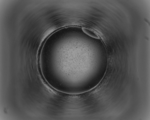 X0000093211135200710031415