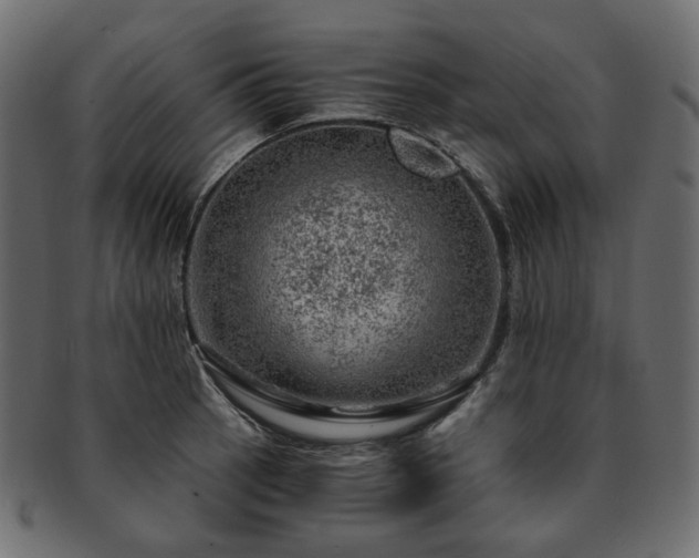 X0000093211137200710031415