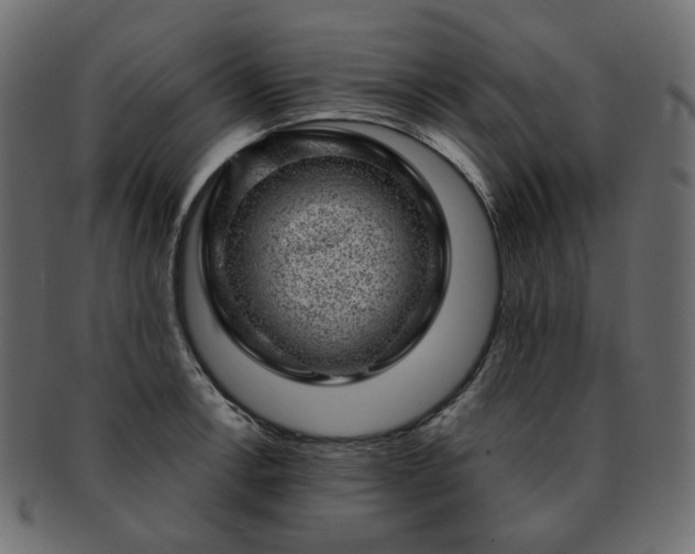 X0000093211138200710031415