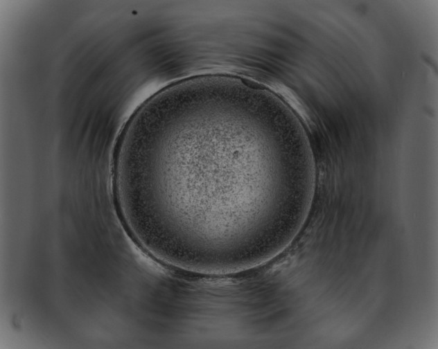 X0000093211143200710031415