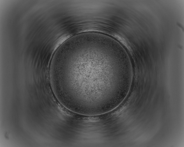 X0000093211145200710031415