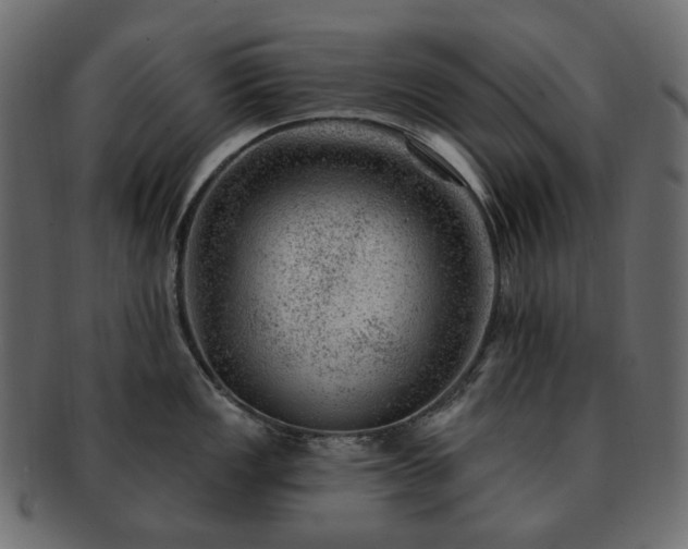 X0000093211149200710031415