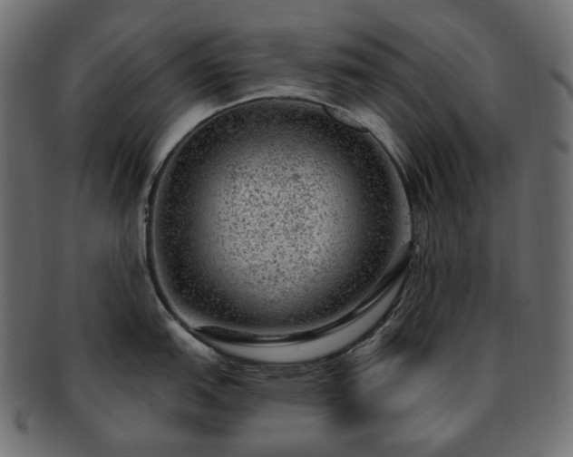 X0000093211151200710031415