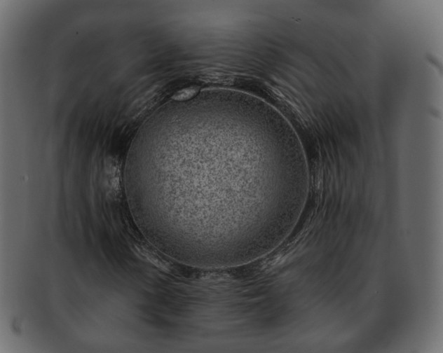 X0000093211154200710031414