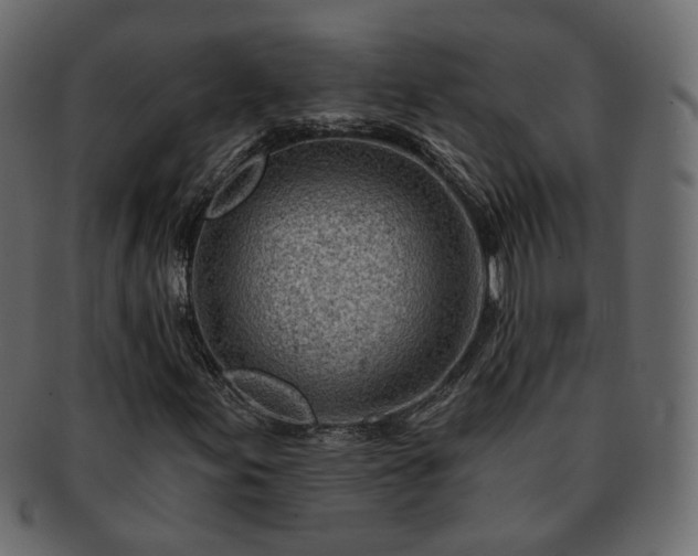 X0000093211155200710031414