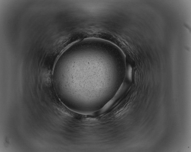 X0000093211156200710031414