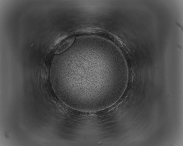 X0000093211158200710031414