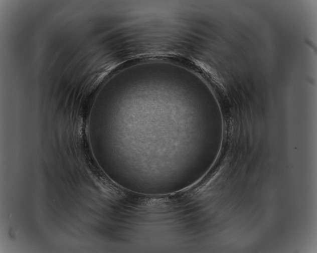 X0000093211161200710031414