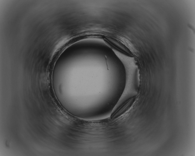 X0000093211164200710031414