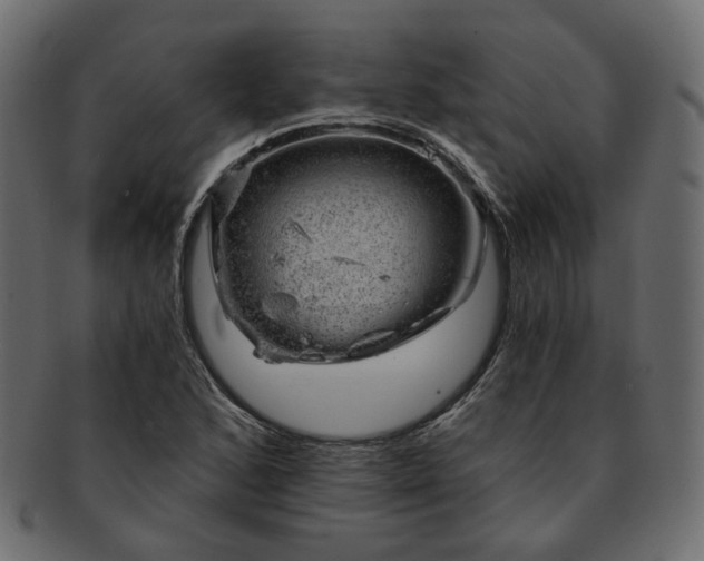 X0000093211168200710031414