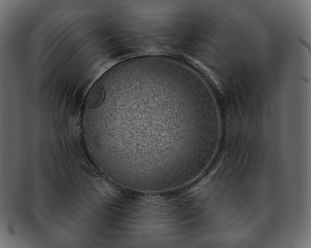 X0000093211170200710031414