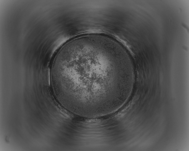 X0000093211171200710031414