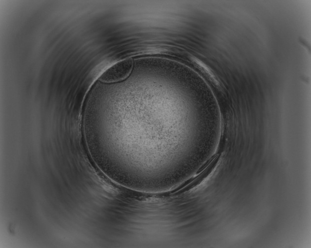 X0000093211178200710031414