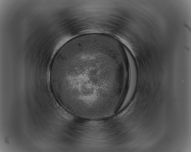 X0000093211179200710031414