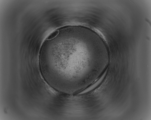 X0000093211183200710031414