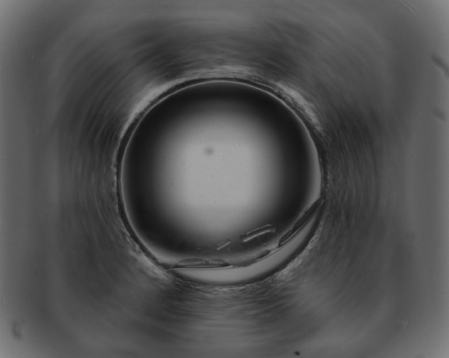 X0000093211184200710031414