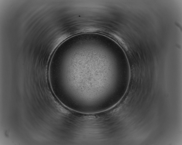 X0000093211186200710031414