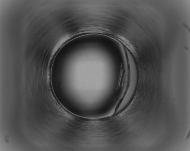 X0000093211188200710031414