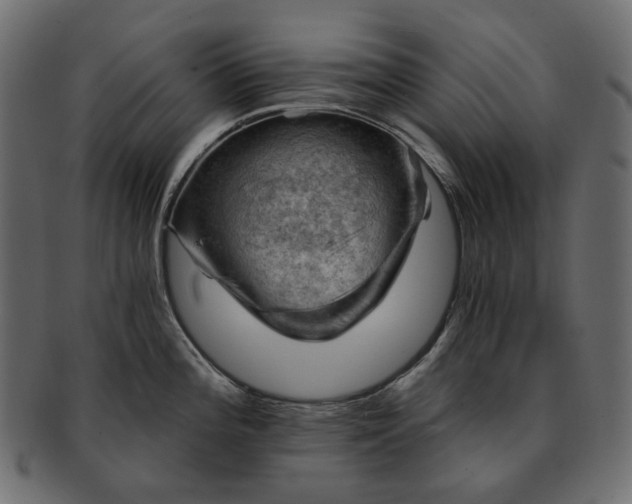 X0000093211196200710031414