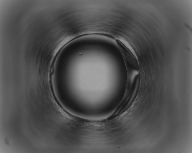 X0000093211197200710031414