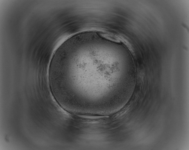 X0000093211199200710031414