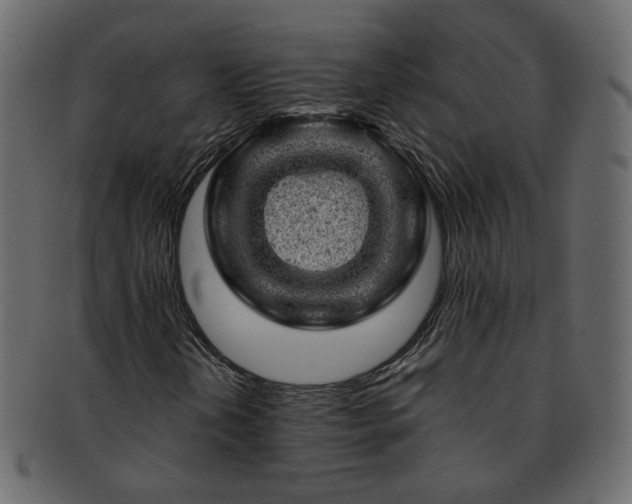 X0000093211202200710031413