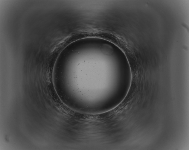 X0000093211205200710031413