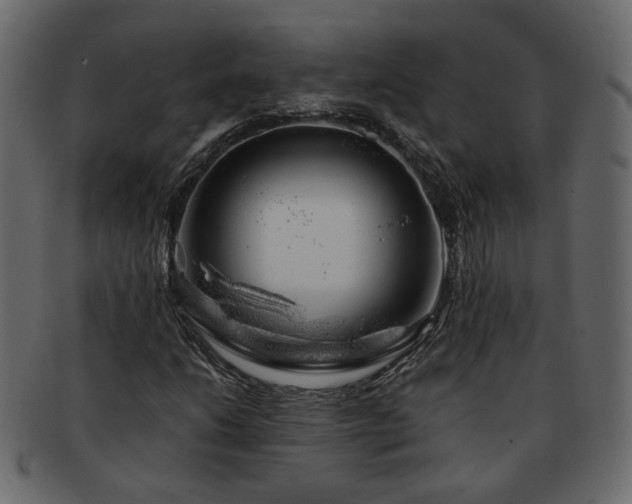 X0000093211206200710031413