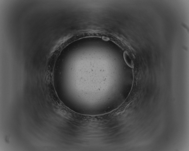 X0000093211207200710031413